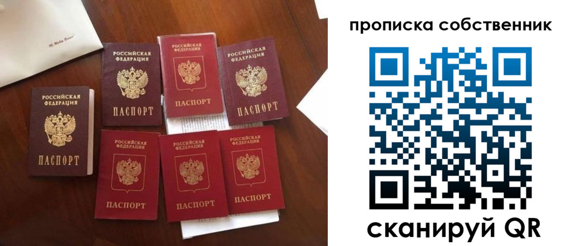 прописка для школы в Александровске