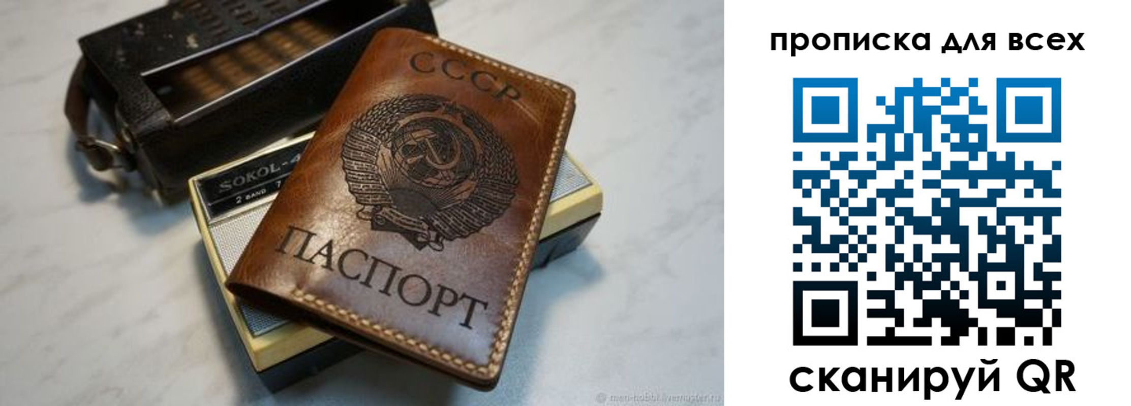прописка в квартире в Александровске